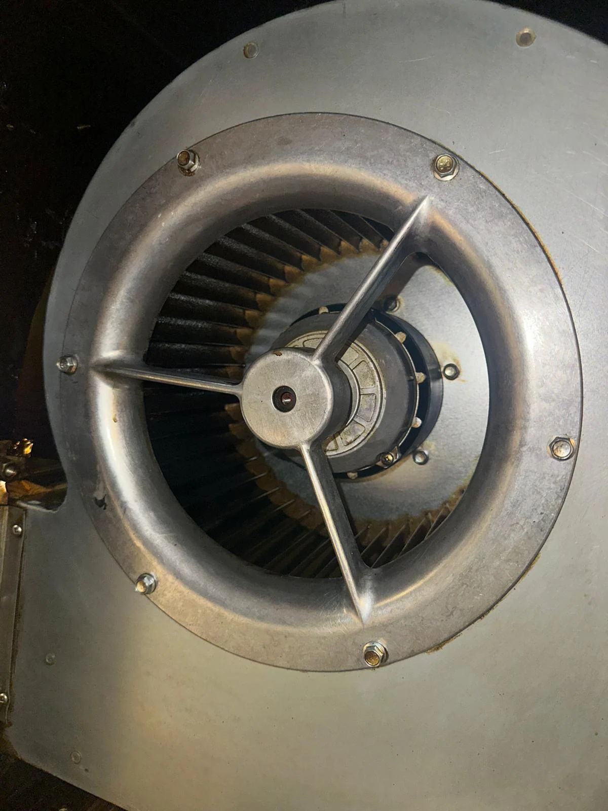 Professionele horecareiniging in Den Haag tijdens het project, projectfoto 12.