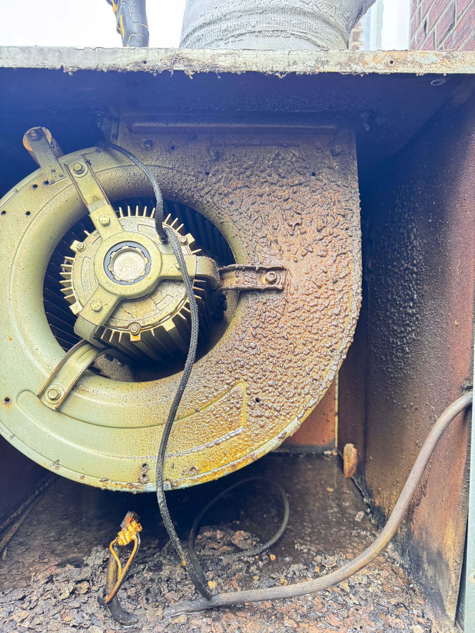 Voor Filter Reinigen